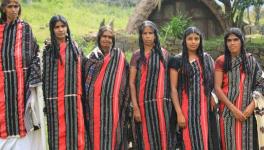 Tamil Nadu: Nilgiri Tribes Relocated Without Proper Compensation