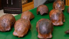 Image Courtesy: Smithsonian Magazine. Image depicts some of the skull caps excavated from   Ngandong.