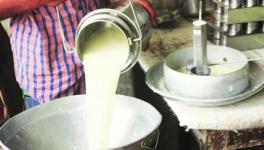 Maharashtra: Amid COVID-19 Lockdown, Farmers Selling Milk Face Losses