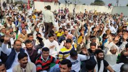 Farm Laws: How Much Sway do Mahapanchayats and Khaps Hold in Jatland Politics