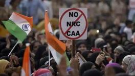 Madras HC quashes FIR against CAA protestor, upholds freedom of speech