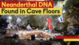 DNA from Cave Dirt Now Tells Us How Ancient Humans Lived