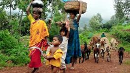  Are over 1,10,000 Adivasis & Forest Dwellers at risk of eviction and loss of livelihood?