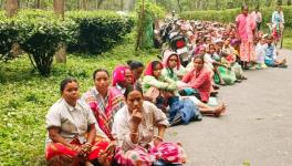 WB: Tea Workers Upset Over Paltry Wage Hike, Warn of Strike Action