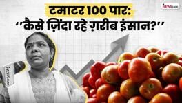 Soaring Tomato Prices Hit Farmers, Consumers