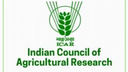The bodies maintain that ICAR is creating a spurious narrative that this MoU and the resultant institutional partnership is an earnest attempt to "empower smallholder farmers."