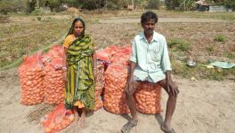 bengal farmers