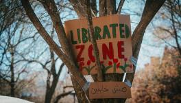 Students set up a Gaza Solidarity Encampment on Harvard Yard (Photo: Micah Fong)