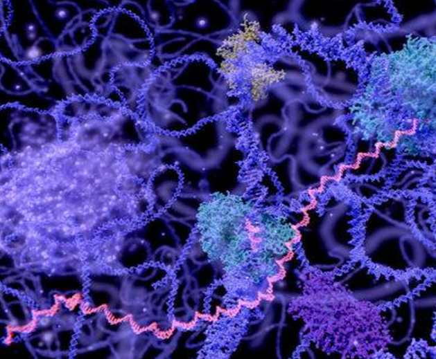 Translation of Genes to Proteins is More Complex than Previously Thought