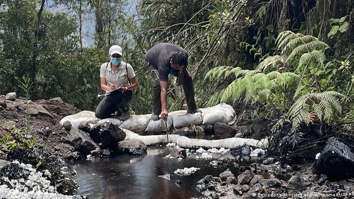 Around one million liters of oil leaked from a pipeline into the rainforest in Ecuador