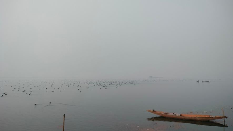 Five-six lakh migratory birds have arrived in the region, which is higher than last year's numbers. 