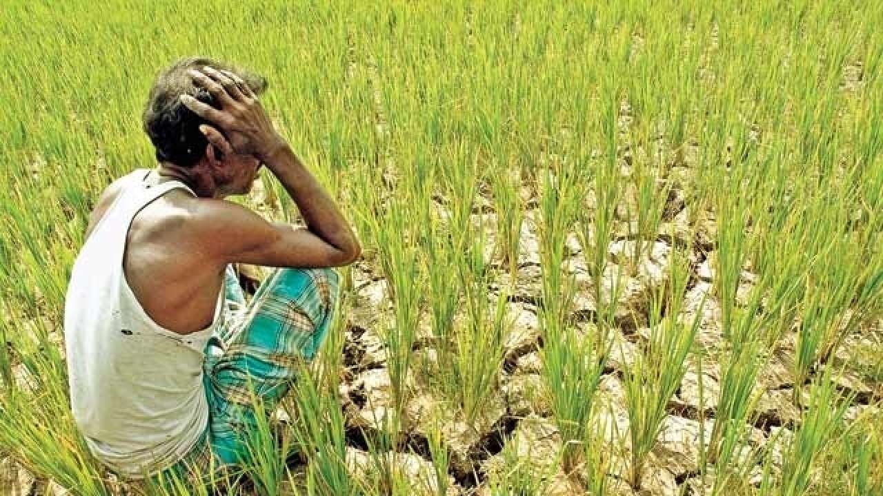 Indian Farmers Lost Rs3 Lakh Crore In 2017 18 Newsclick