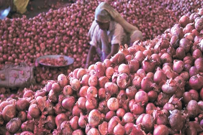 Maharashtra Onion Farmers hit by Falling Rates, Pre-monsoon | NewsClick