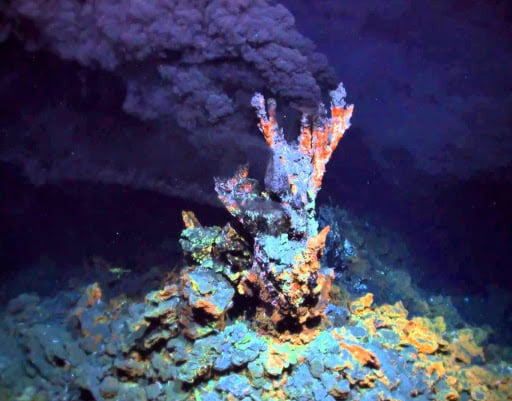 Life Originated at Hydrothermal Vents, New Findings Bolster | NewsClick