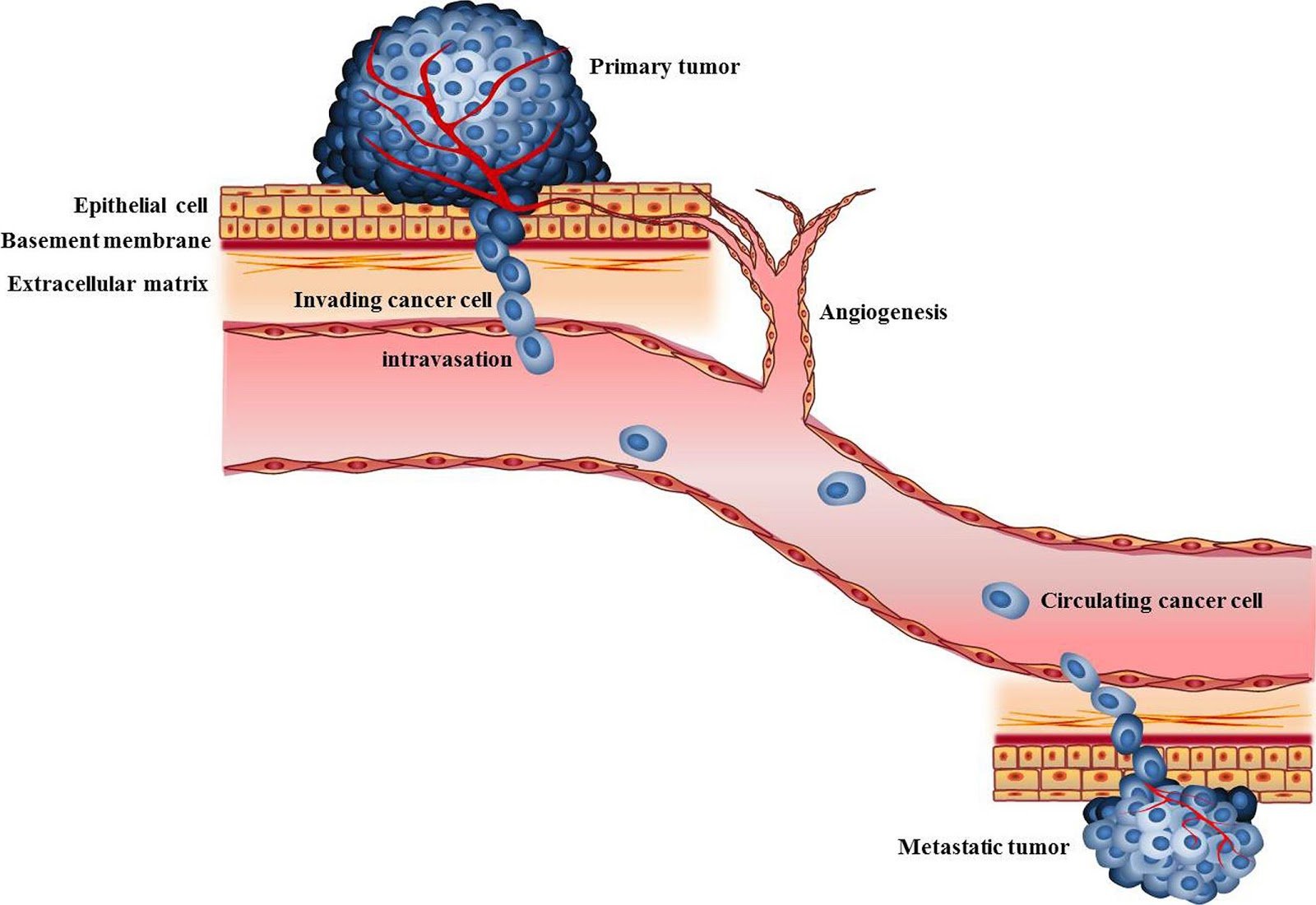 how-spread-of-cancer-is-related-to-genetics-newsclick