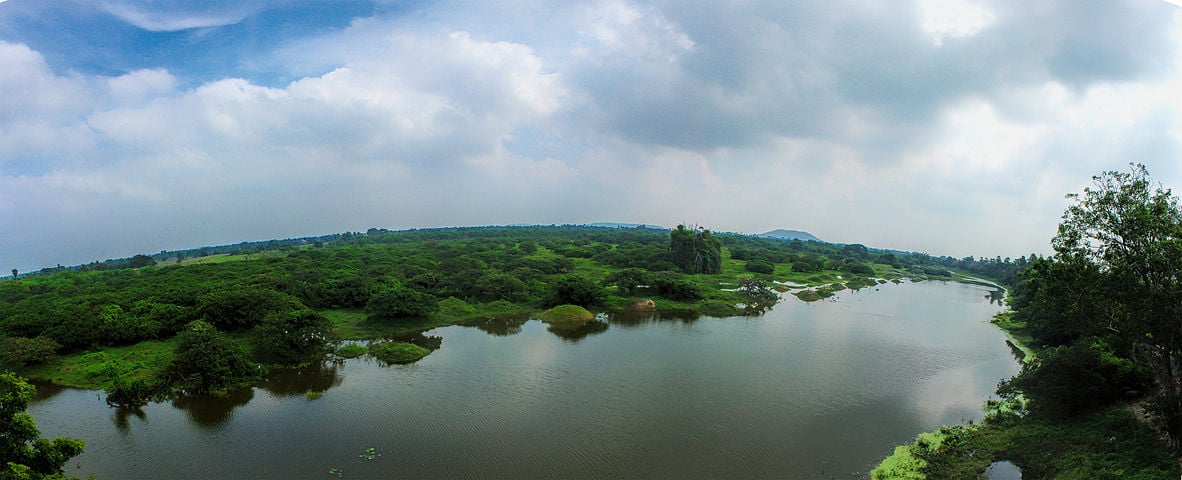 vedanthangal-bird-sanctuary-in-tamil-nadu-could-lose-area-if