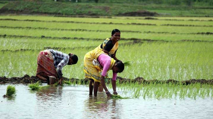 Telangana: ‘New Farm Laws Pose Livelihood Threat to Tenant Farmers ...