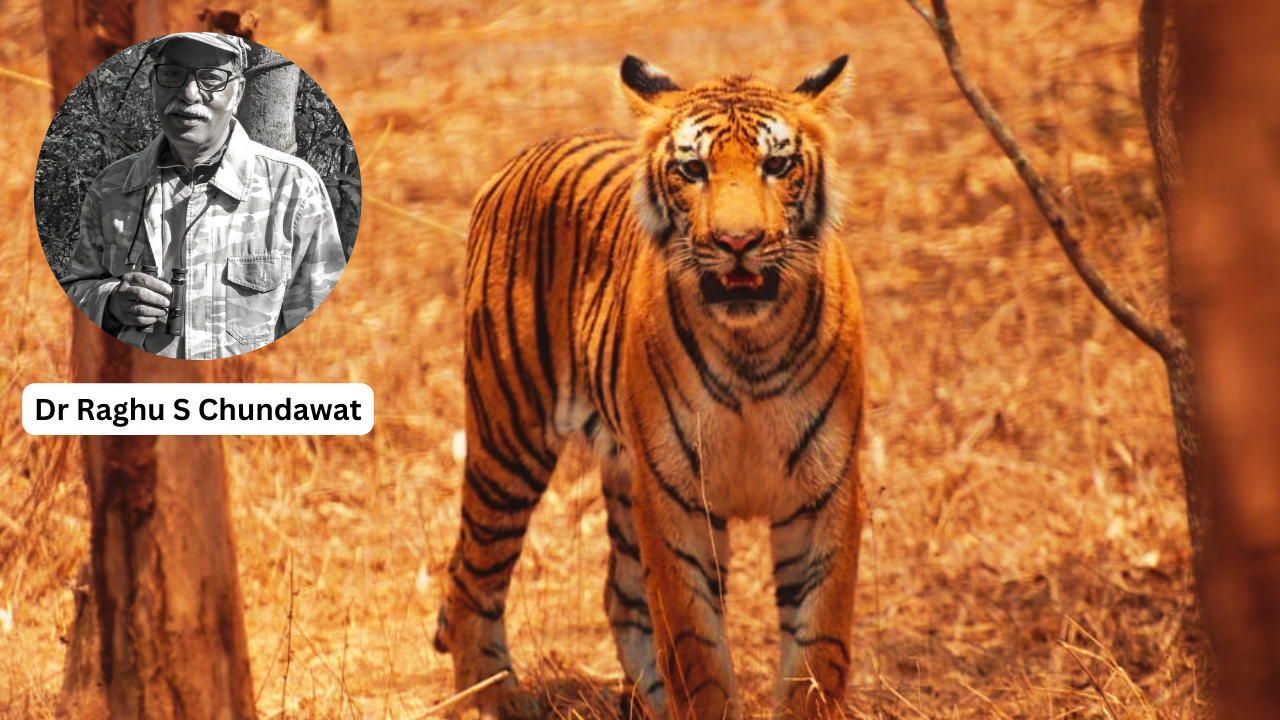 Conserving the Emerald Tiger: The Politics of Environmental