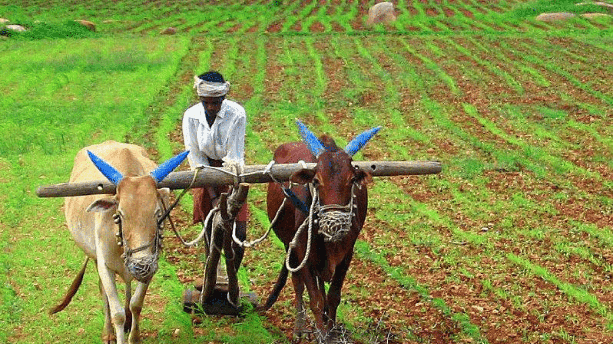 indian farmer png