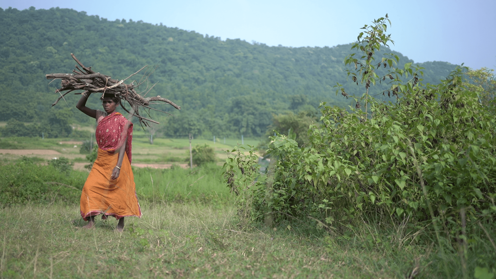 Bengal: Endangered Shabar Tribe's Life and Tales Spotlighted at Kolkata ...