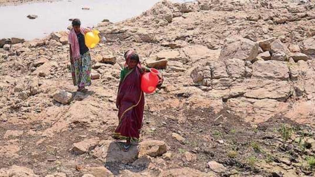 After Drought, Karnataka Farmers Hit With Crash in Prices of Agricultural  Produce | 