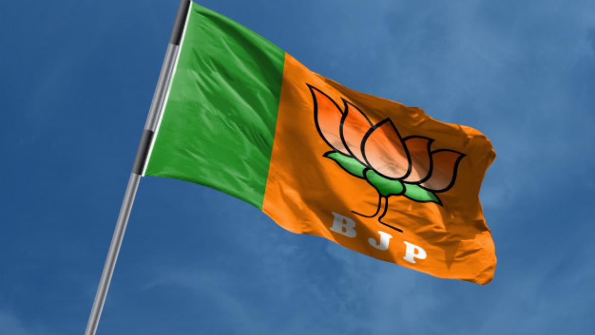 bhartiya janta party bjp flag symbol waving 1498 90