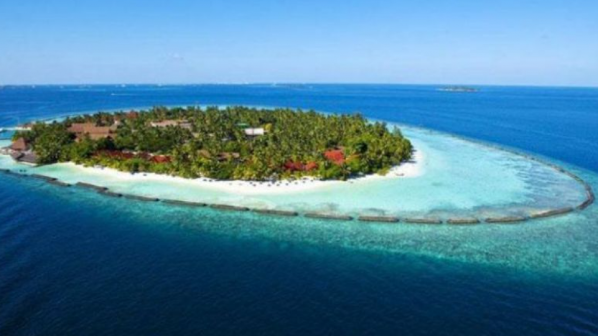 Andaman Nicobar Island Xxx Video - Why Govt's Plan to 'Develop' Andaman Island is Shocking | NewsClick
