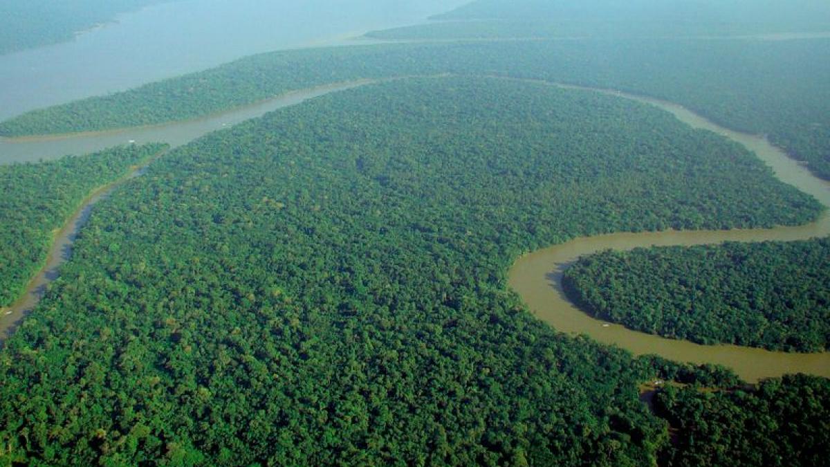 Higher Deforestation in Amazon's Protected Areas During Bolsonaro