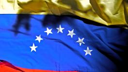 the venezuelan flag