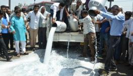 Milk Producers in Himachal Pradesh