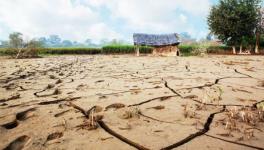 Close to 4,000 Madhya Pradesh Villages Stare at Acute Drought