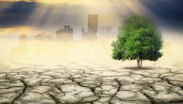 Earth Approaching Climate Tipping Points: Cascading Devastation in Store