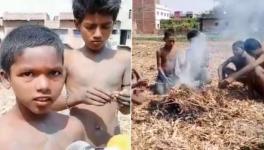 COVID-19 Lockdown: Children Caught Eating Frogs to Fight Hunger in Bihar, Authorities Order Probe
