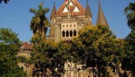 Elgar Case Transfer: HC Seeks NIA, Centre and Maha Govt Response Before July 14