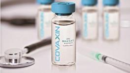 COVID-19 Vaccines: Moderna Declares Successful Trial Results After Pfizer, COVAXIN Enters Phase III