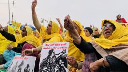 ‘Reclaiming Our Stake in Movement and Society,’ Say Women Protesters Celebrating Mahila Kisan Diwas