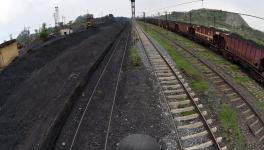 Coal roaylities