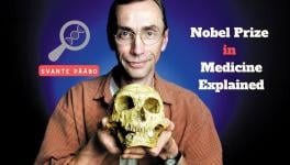 Svante Pääbo’s Medicine 'or' Physiology Nobel and the Lineages of Humanity