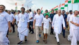 Congress leader Rahul Gandhi walks with a young supporter during party's 'Bharat Jodo Yatra' in Kerala. (Photo | PTI)
