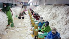 UP: Future of Amroha’s Famous Cotton Waste Industry Hangs by a Thread