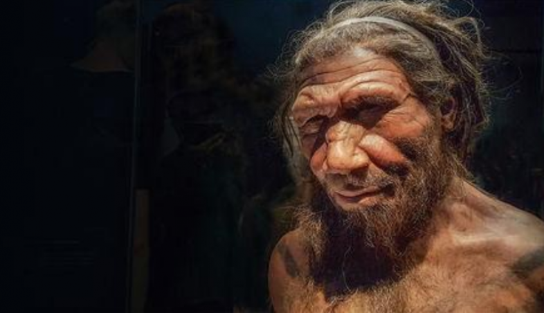 Genetic Ancestry of Pain Sensitivity Traced Back to Neanderthals ...