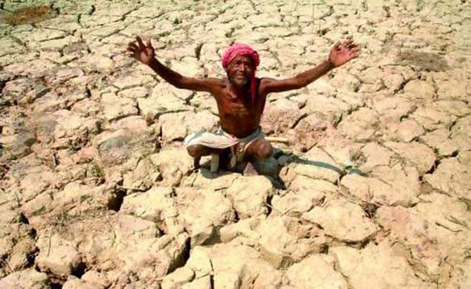 Modi’s Crop Insurance Scheme Adding to Farmer Woes