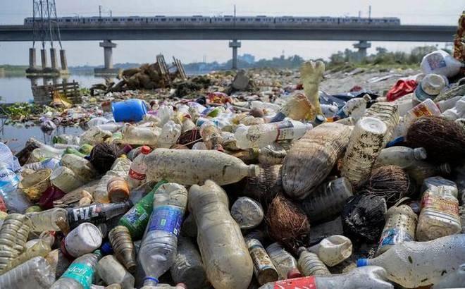 plastic pollution 