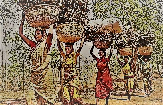 Illustration Vector Chhattisgarh Tribal Communities Known Stock Vector  (Royalty Free) 2117262101 | Shutterstock