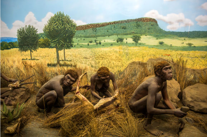 Early Human Species That Lived in the Luzon Island of the Philippines Discovered