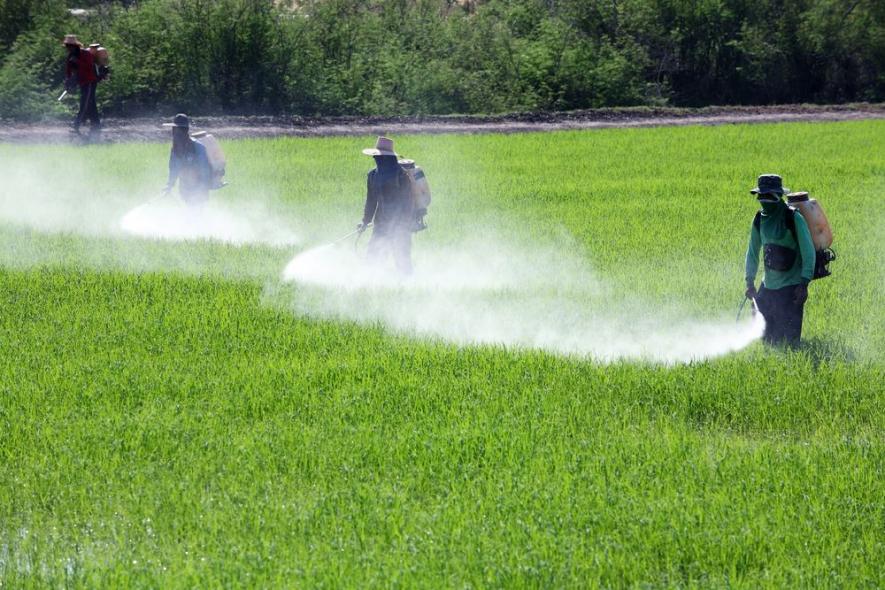 Study Says 64% Of World’s Farmland At Risk Of Pesticide Pollution ...