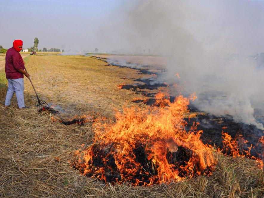 Why the Stubble Burning Problem Refuses to Go Away
