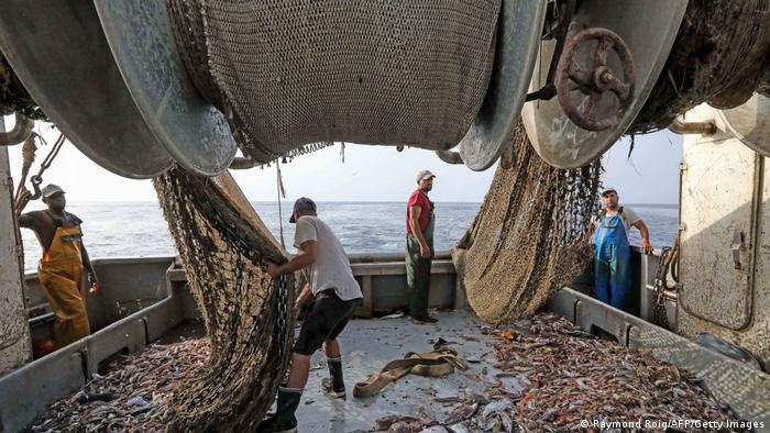 Unsustainable fishing makes oceans a weaker line of defense in the fight against climate change