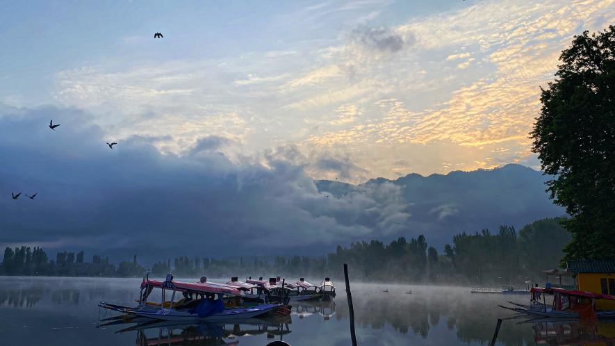 10 Must-do experiences for a memorable trip to Kashmir | Business Insider  India