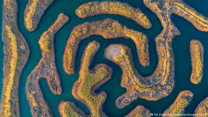 Biodiversity protection and habitat protection are underway in China's Baima Lake National Wetland Park 